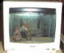 My TV/Fishtank